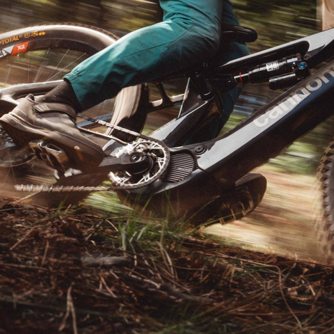 Cannondale Moterra Neo SL 2